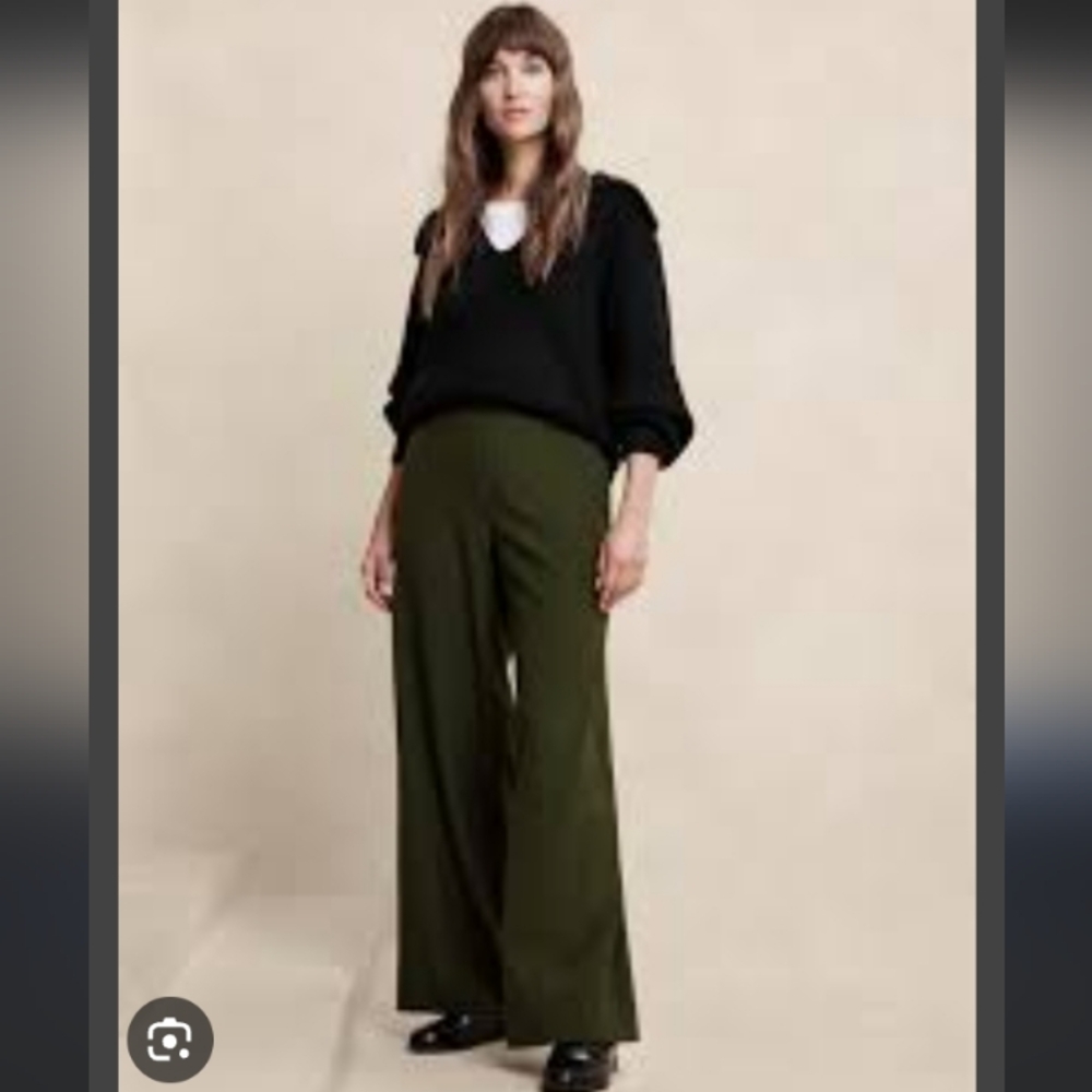 Banana Republic Hayden Wide Leg Pants, 8, Moss, Pull On